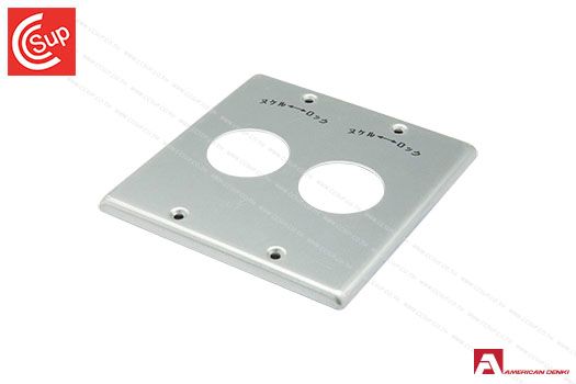 American Denki 541S Stainless Wall Plate for Receptacle