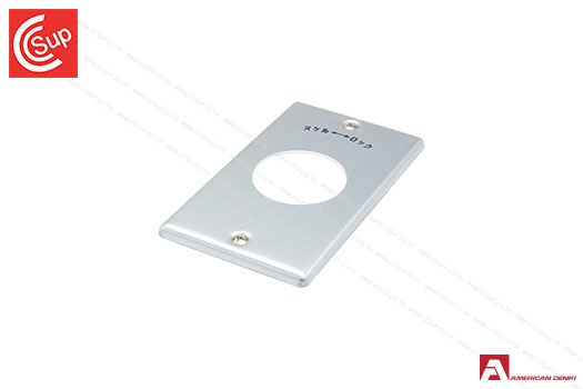 American Denki 1161A Aluminum Wall Plate for Receptacle