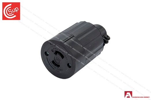 American Denki 2324R  LOCKING TYPE CONNECTOR BODY  2P(2P,2W) 30A 250V